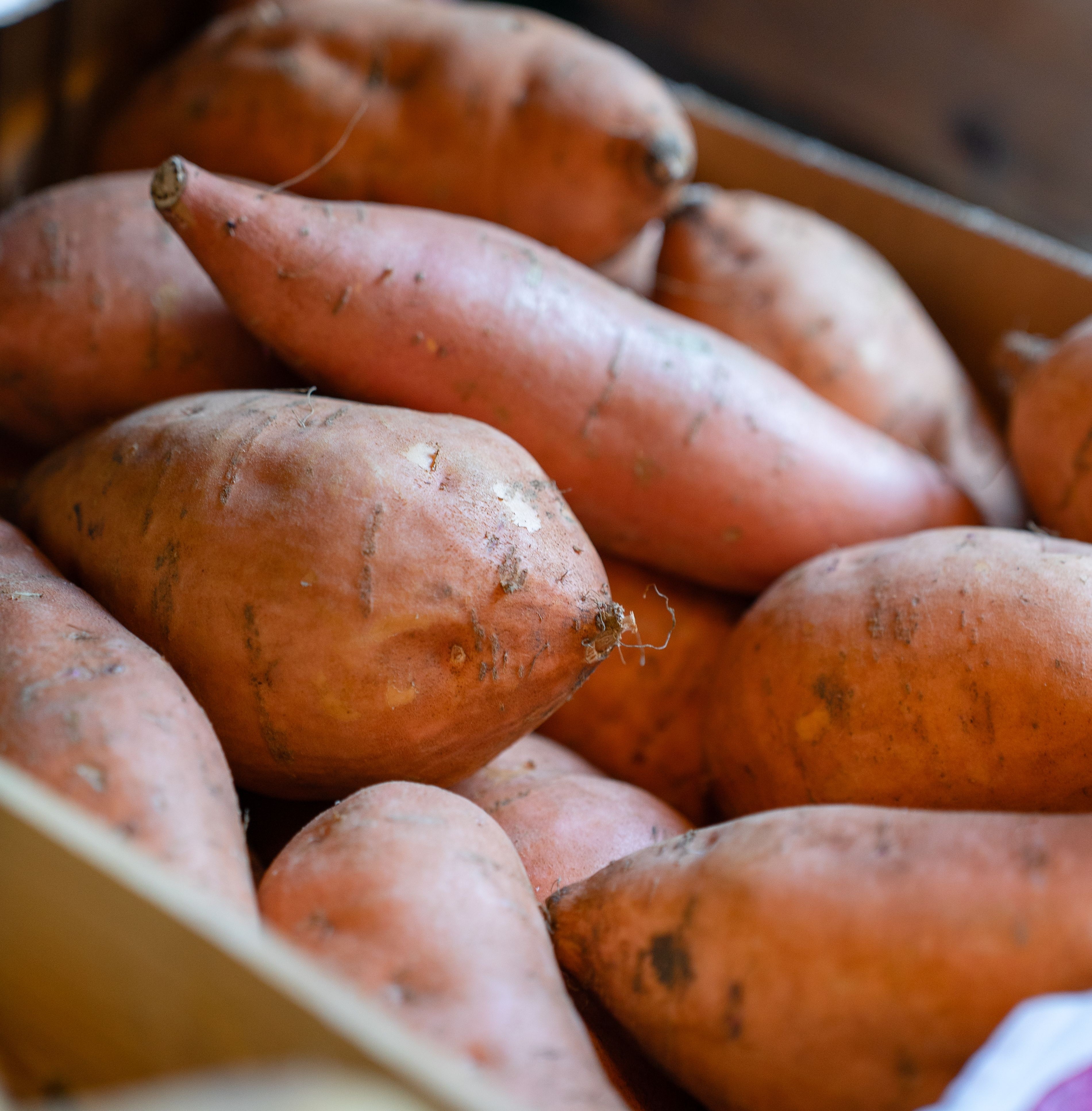 The Truth About Carbs and Protein… (It’s Not What You Think)